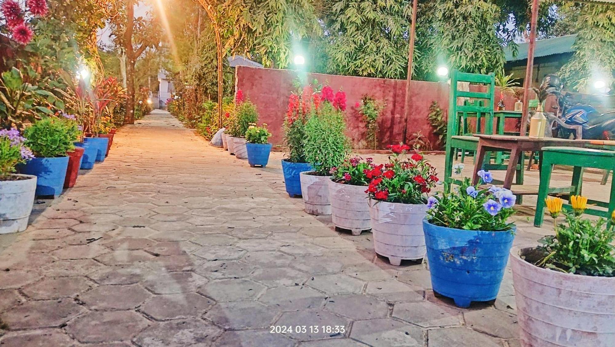 Hotel Butterfly - Peaceful Garden For Nature Lovers Sauraha Luaran gambar