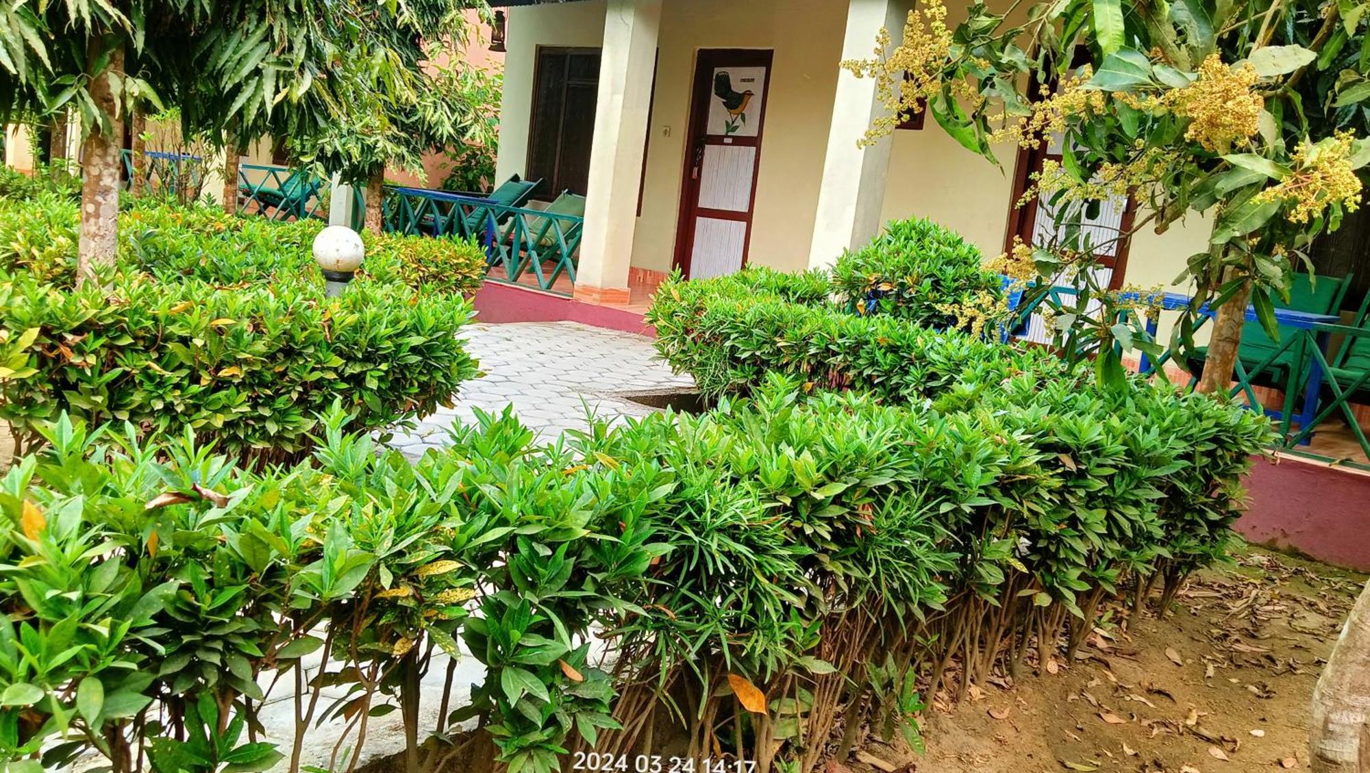 Hotel Butterfly - Peaceful Garden For Nature Lovers Sauraha Luaran gambar