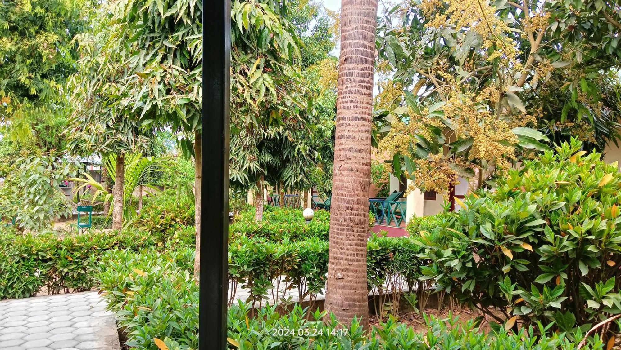 Hotel Butterfly - Peaceful Garden For Nature Lovers Sauraha Luaran gambar