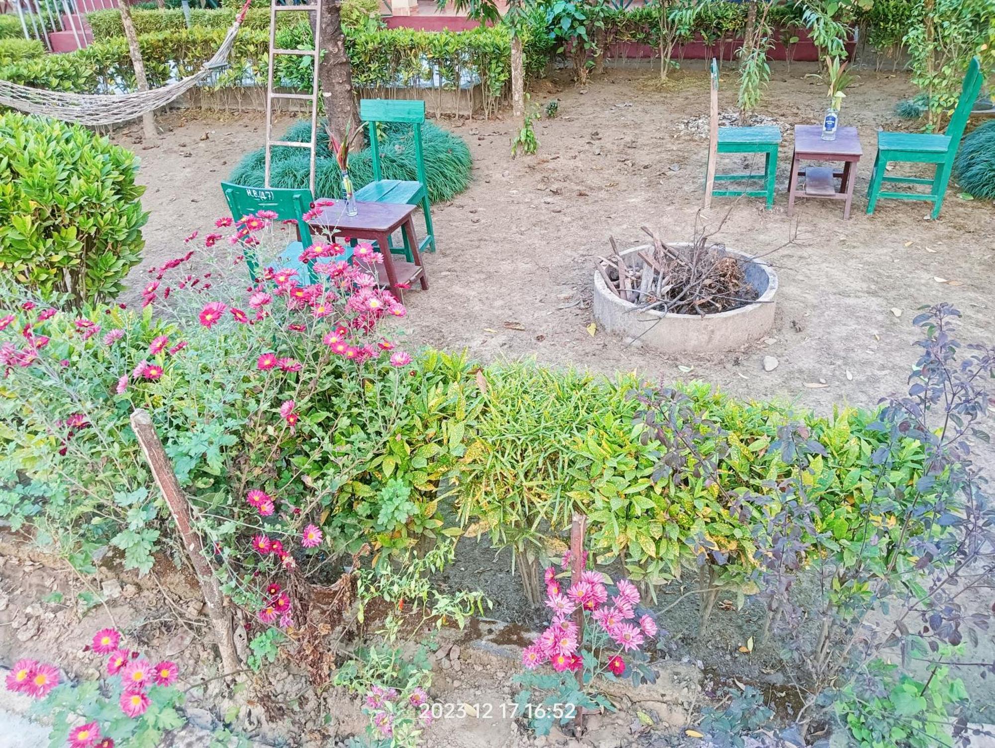 Hotel Butterfly - Peaceful Garden For Nature Lovers Sauraha Luaran gambar