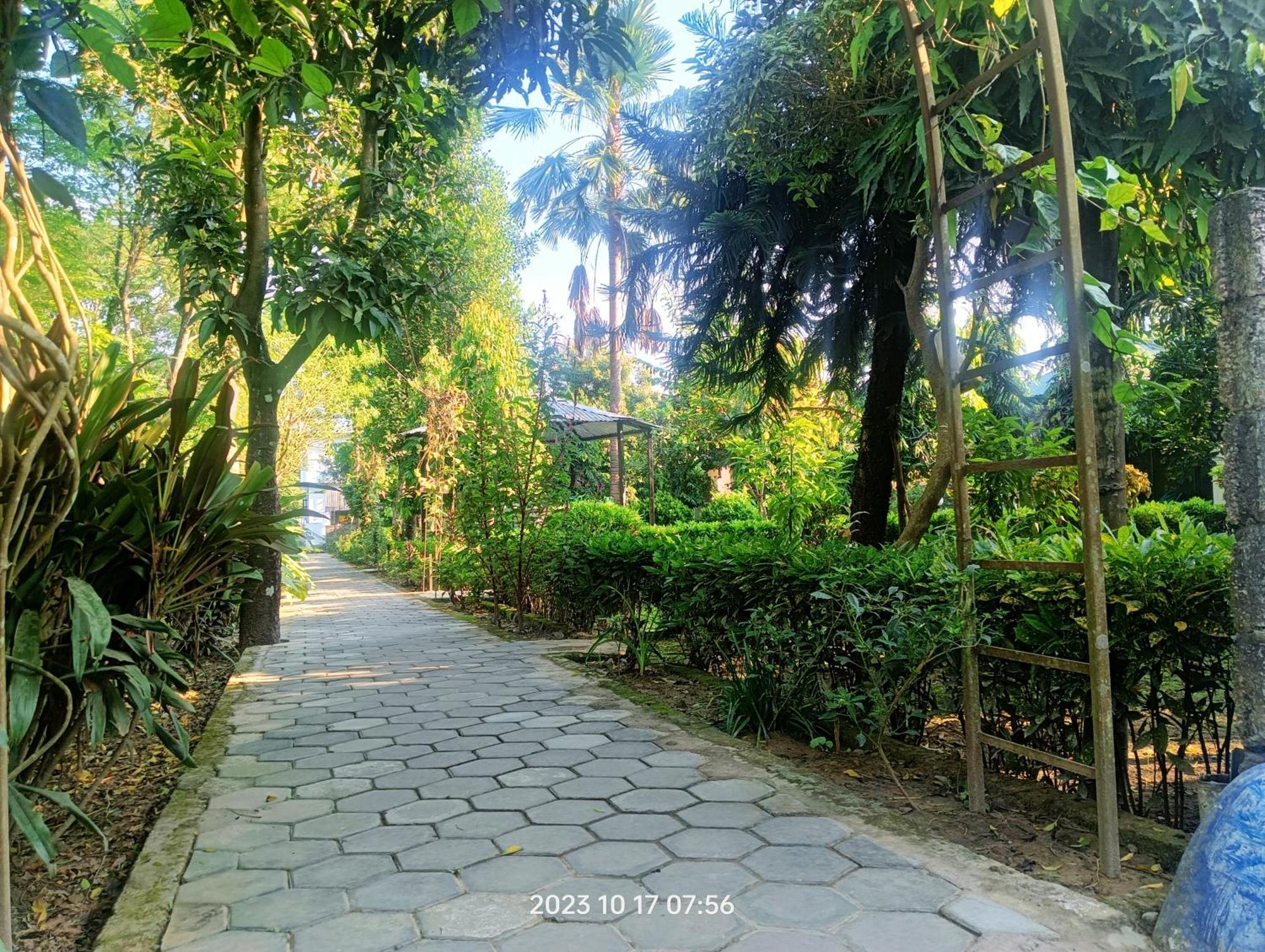 Hotel Butterfly - Peaceful Garden For Nature Lovers Sauraha Luaran gambar