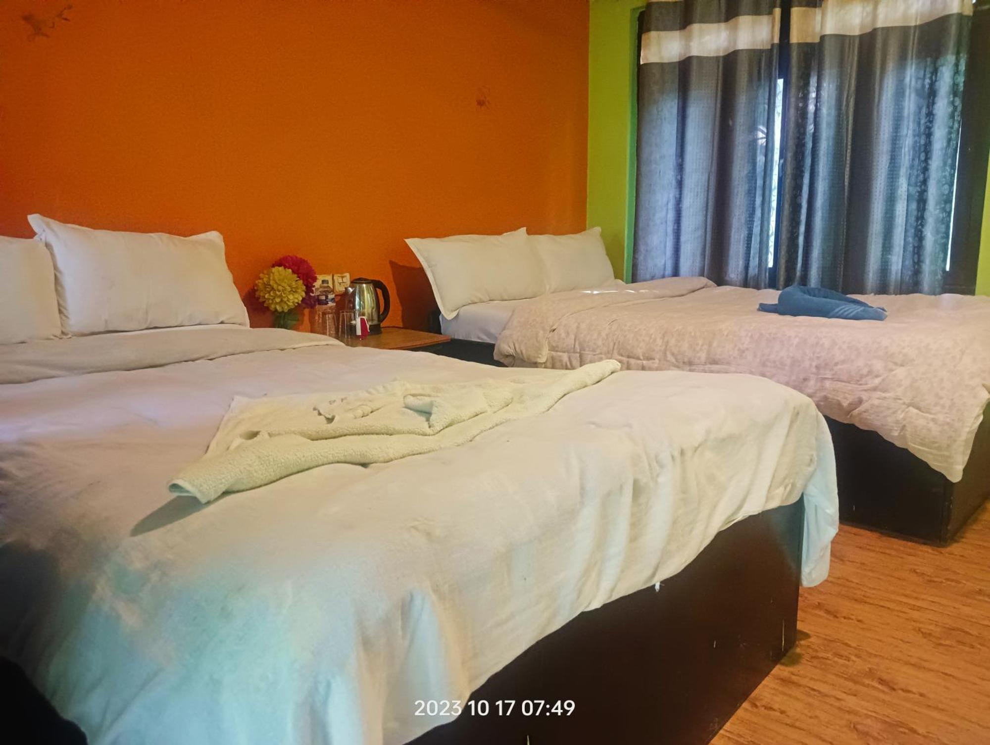 Hotel Butterfly - Peaceful Garden For Nature Lovers Sauraha Luaran gambar