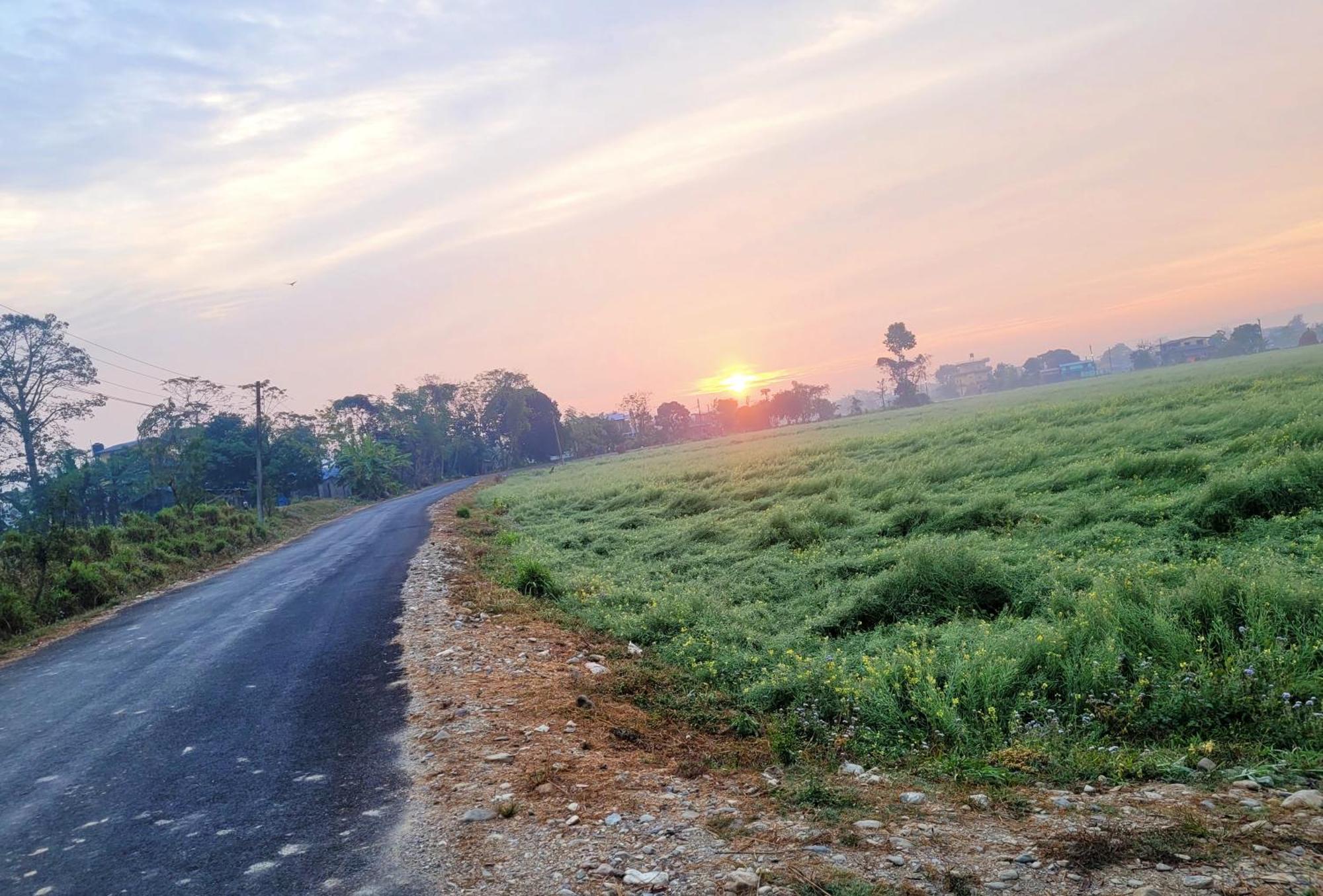Hotel Butterfly - Peaceful Garden For Nature Lovers Sauraha Luaran gambar